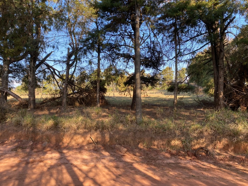 Avaré/SP