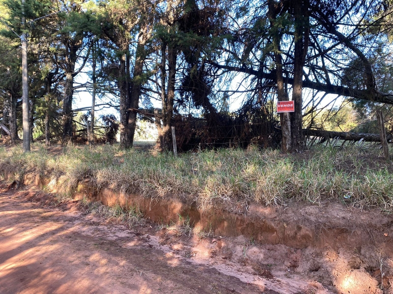 Avaré/SP